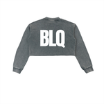 Snow Washed Raw Edge Cropped Sweatshirt