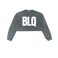 Snow Washed Raw Edge Cropped Sweatshirt